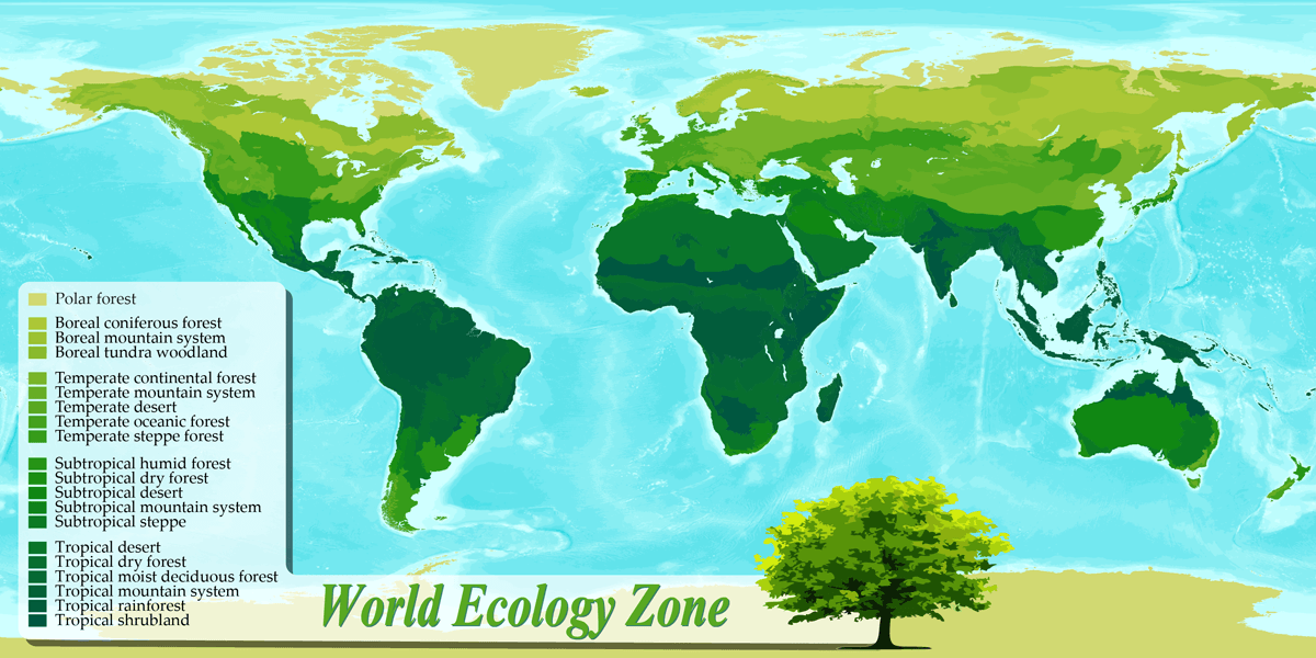 Ecological Map Of The World